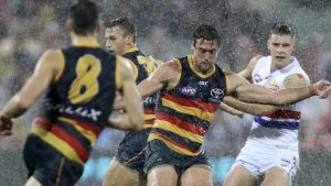 Crows raining