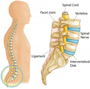 spine disc pain